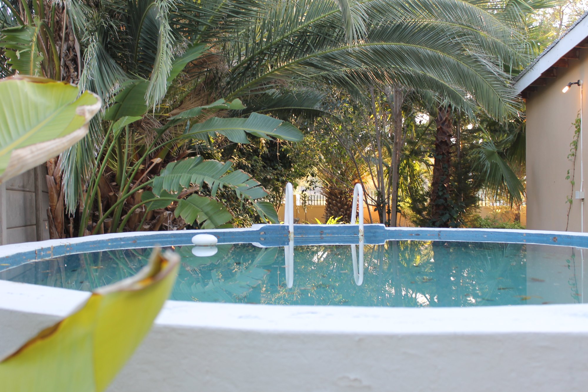 Garden Corner Guesthouse-泳池