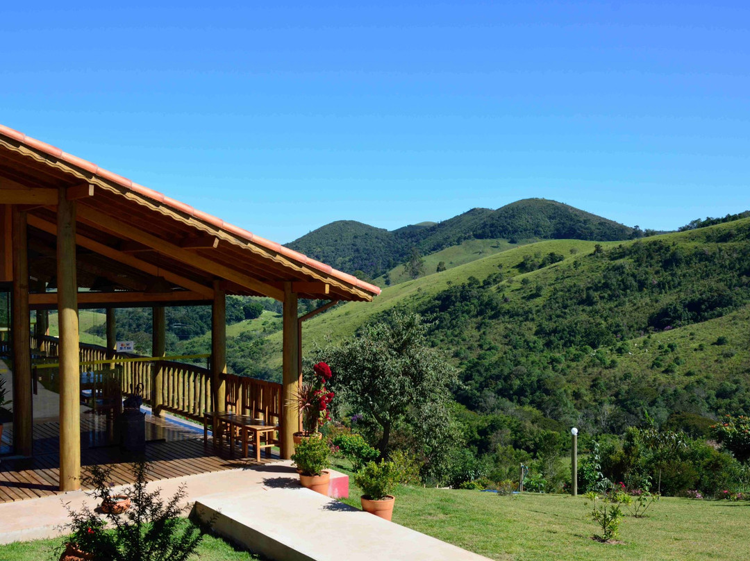 Fruto da Serra Shiitake