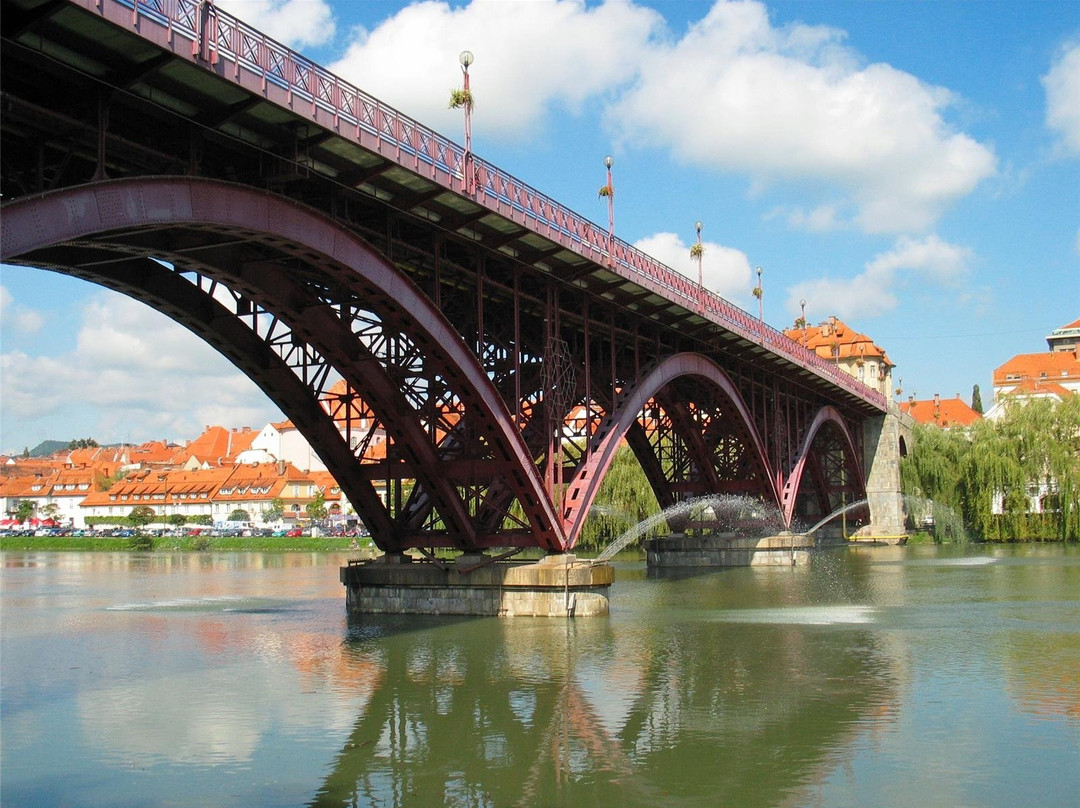 Old Bridge (Drava Bridge)景点图片