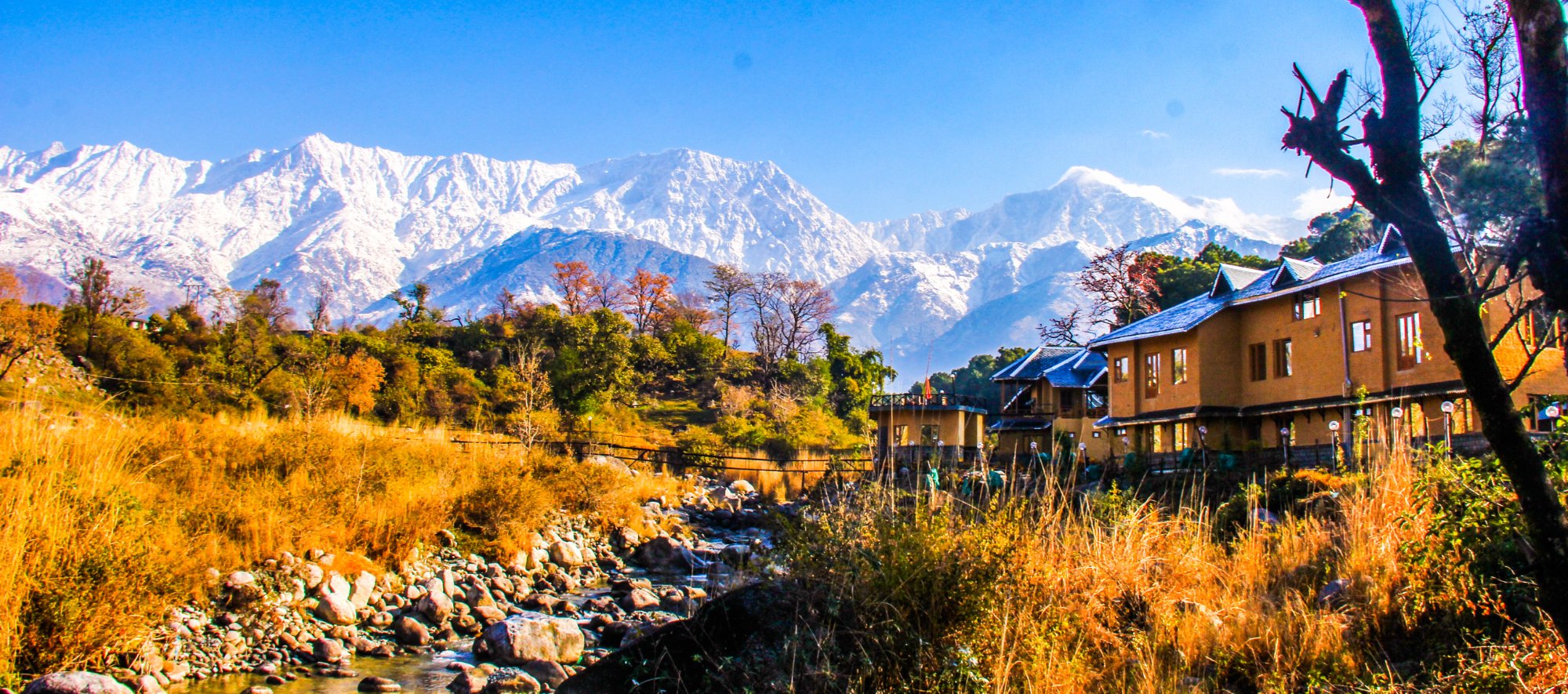 Prakriti Aalay-官方