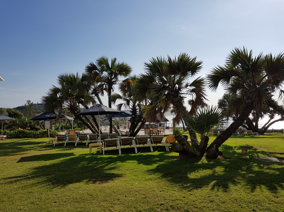 蓝马林酒店主图