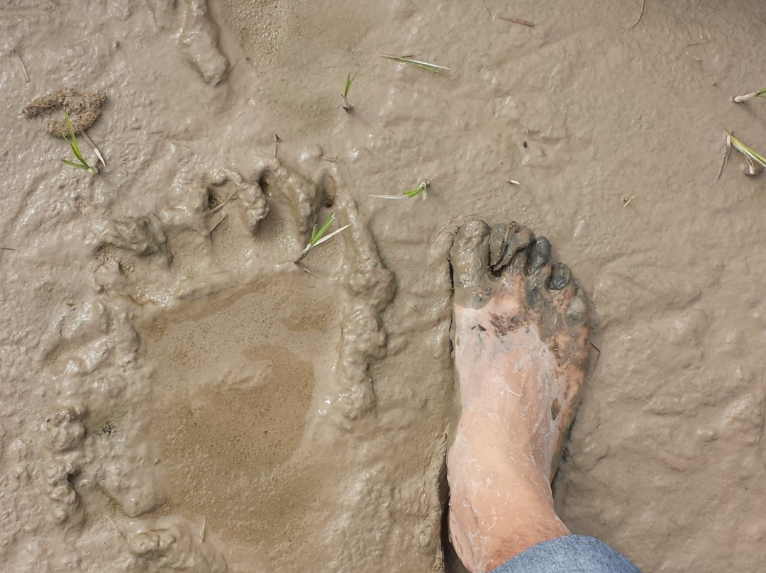 John and Mike's Excellent Adventures-荷马必去景点