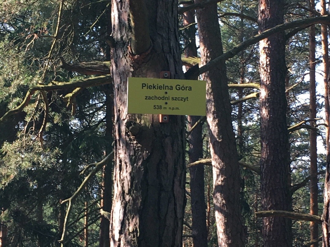 Municipal Tourist Trail景点图片