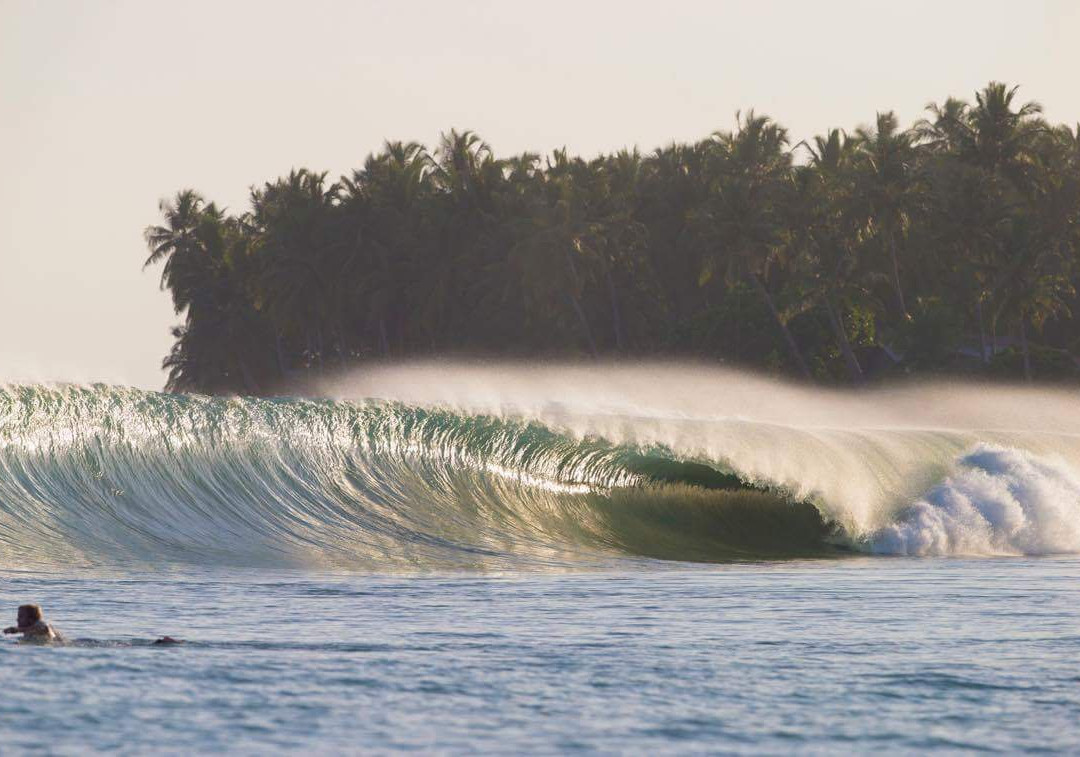 Aloha Surf Camp景点图片
