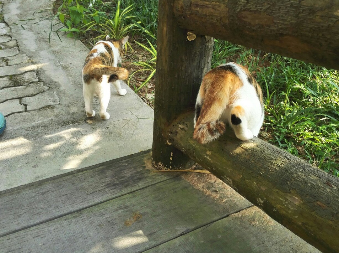 The Garden House Phu Quoc主图