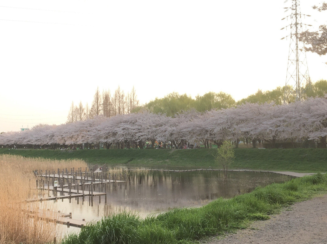Mihashi Sogo Park景点图片