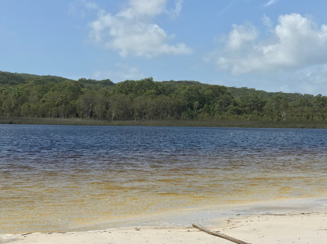 North Stradbroke Island Surf School景点图片
