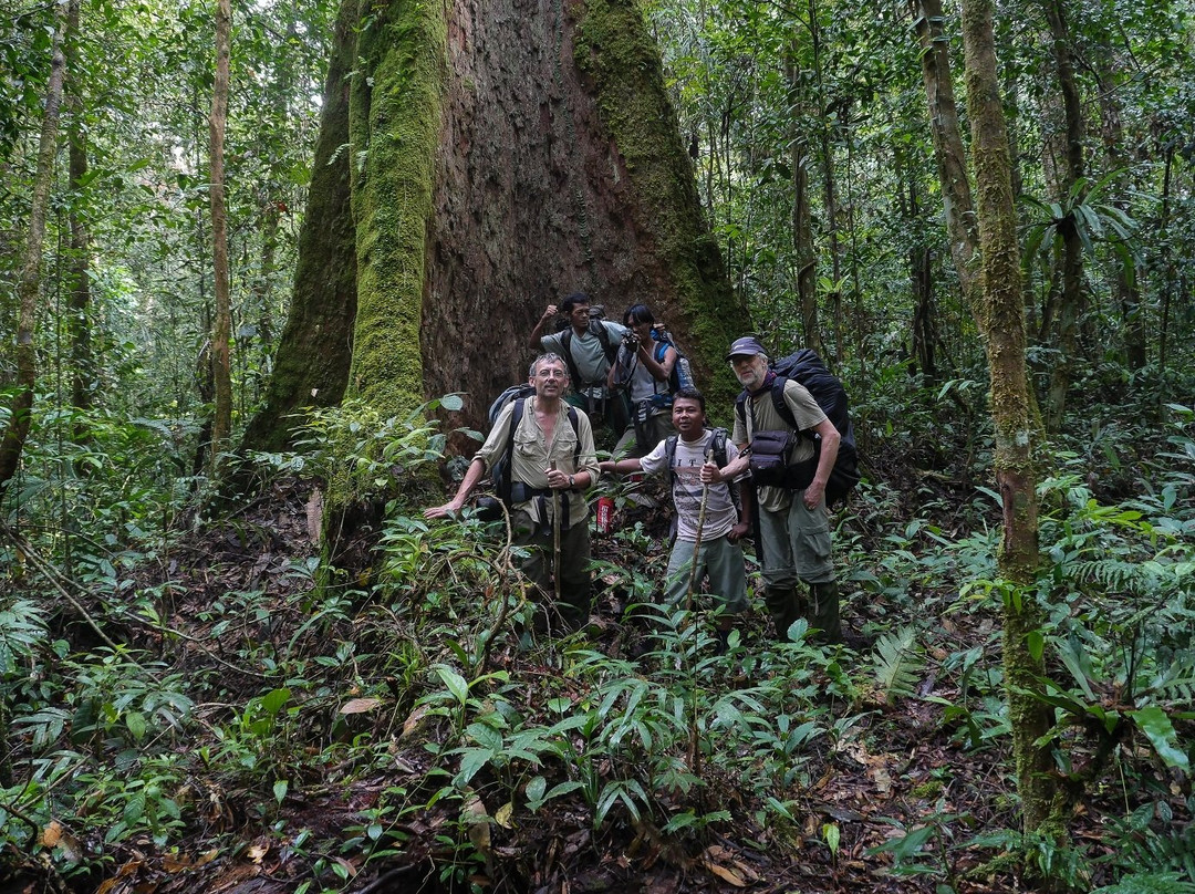 Ketambe Tour - Trekking & Rafting-Ketambe必去景点