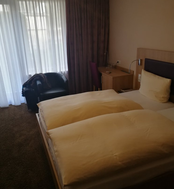 Hotel Villa am Rhein主图