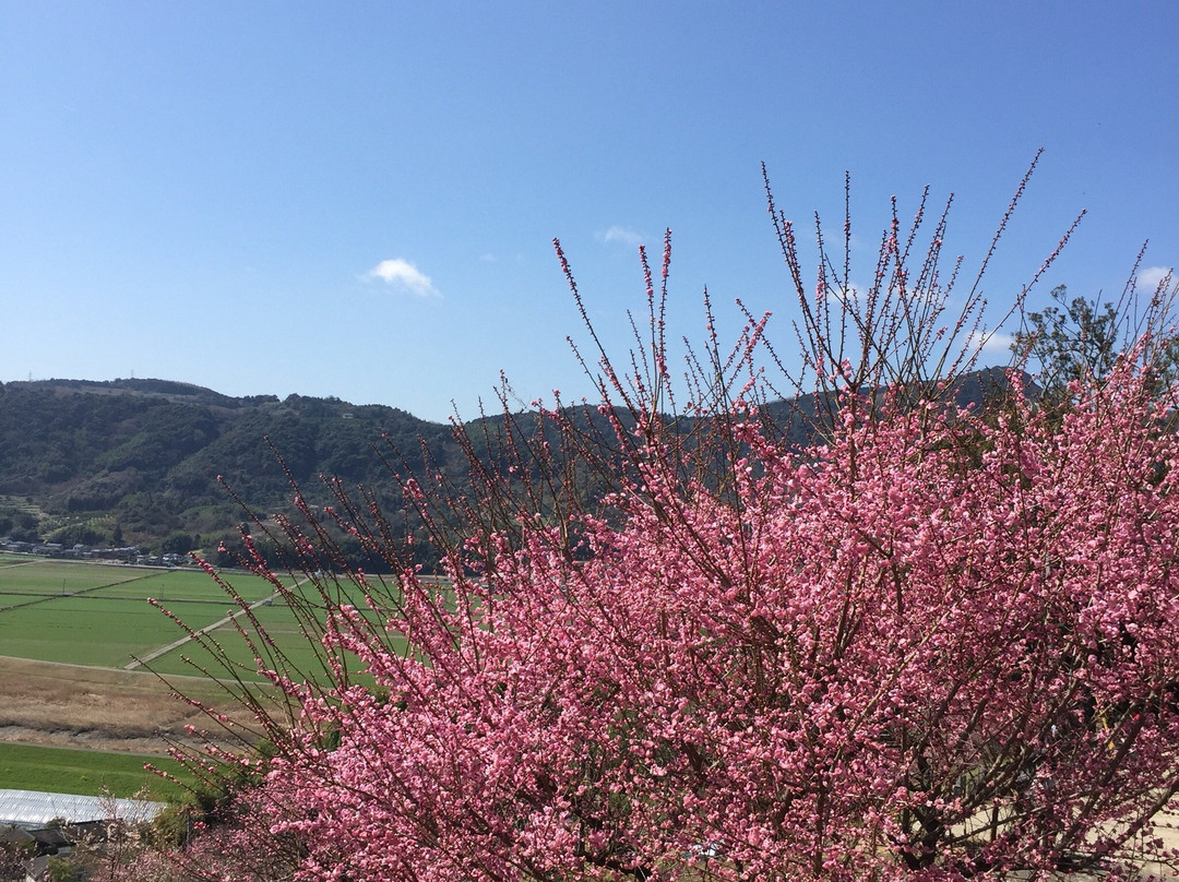 Ushinoo Shrine-小城市必去景点