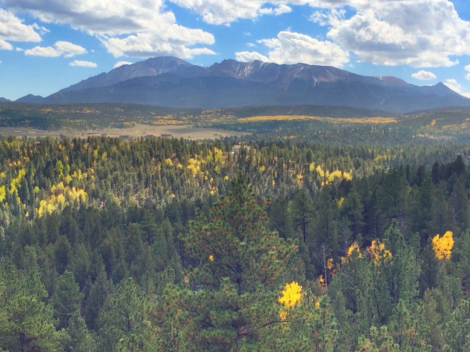 Pikes Peak Paradise Bed + Breakfast-官方