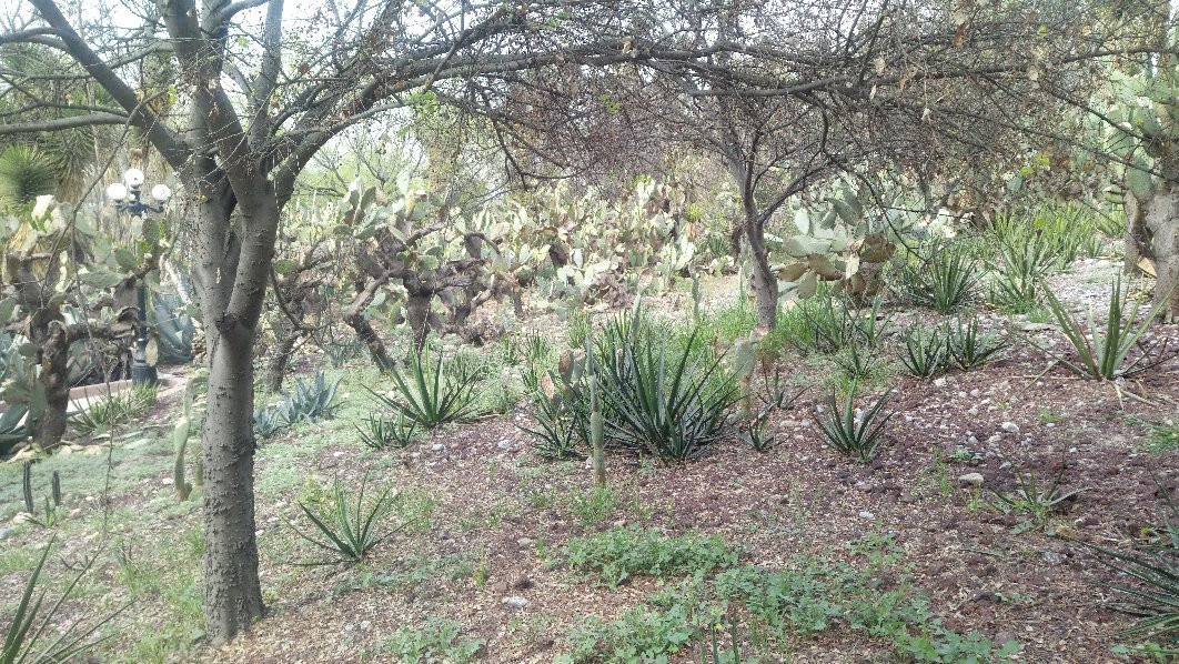 Parque Ecologico El Chapulin-萨尔蒂必去景点