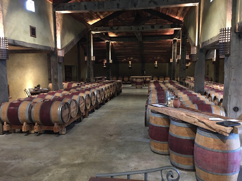 Vinces World of Wine Tours-纳皮尔必去景点