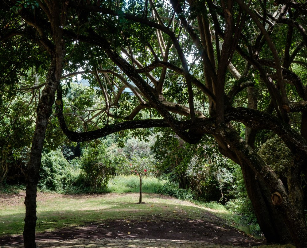 Cinnamon Boutique Guest House主图