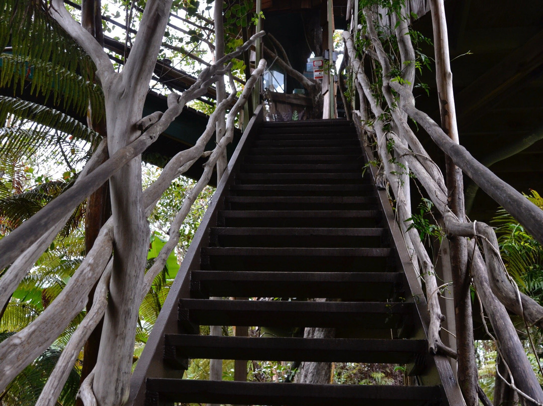 斯凯树屋酒店主图