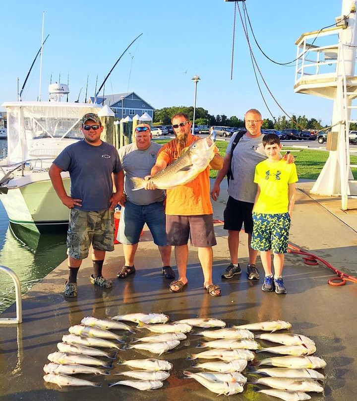 3 Amigos Sportfishing Charters-里霍博斯比奇必去景点