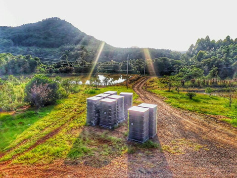 Sucos e vinhos Dom Vitor