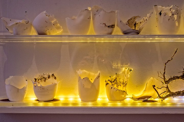 查特菲尔德宾馆主图