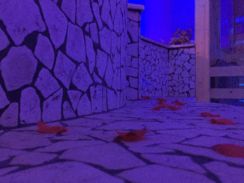 Dalla Testa ai Piedi-罗马必去景点