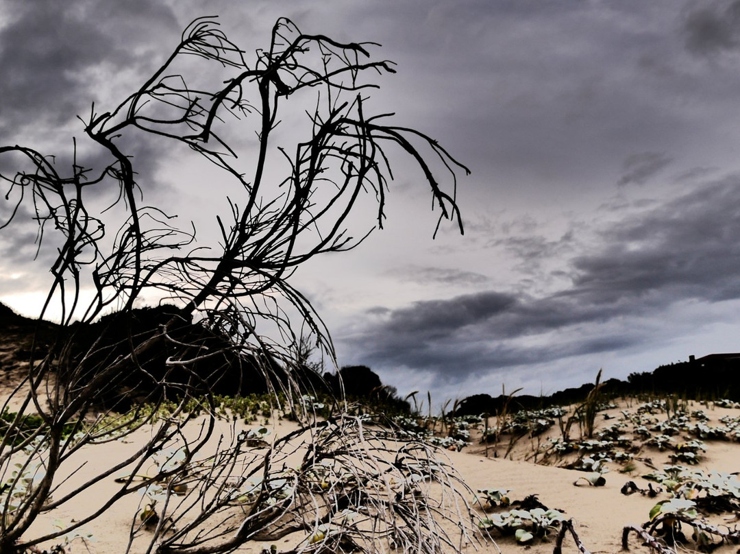 Gaestehaus Saxonia主图