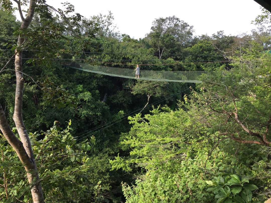 Canon de La Vieja Lodge主图