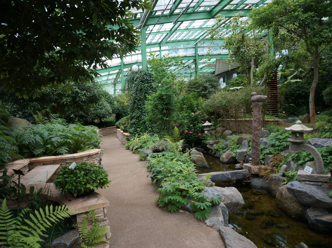 Midongsan Arboretum-清州市必去景点