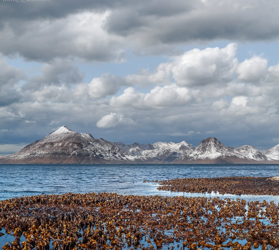 Graham Harris Graham - Fine Art Photography-Culross必去景点