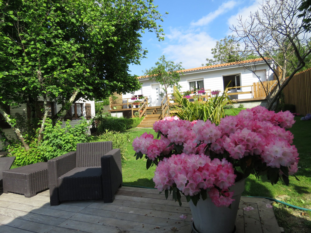 Les Arums de Fondeminjean主图