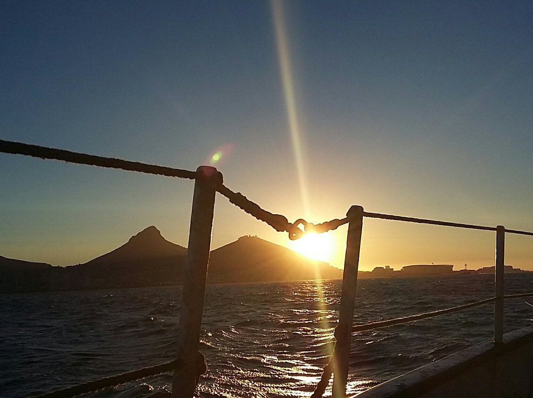 Waterfront Adventures-开普敦中心区必去景点