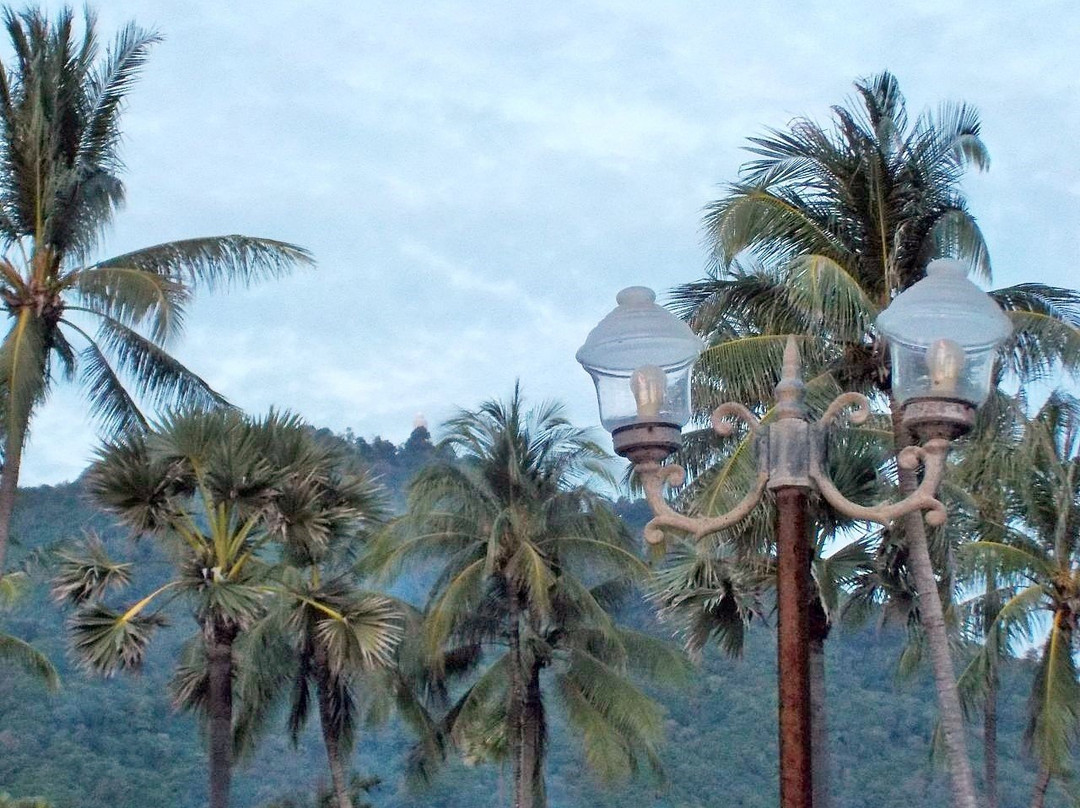 Kata Beach Community Park景点图片