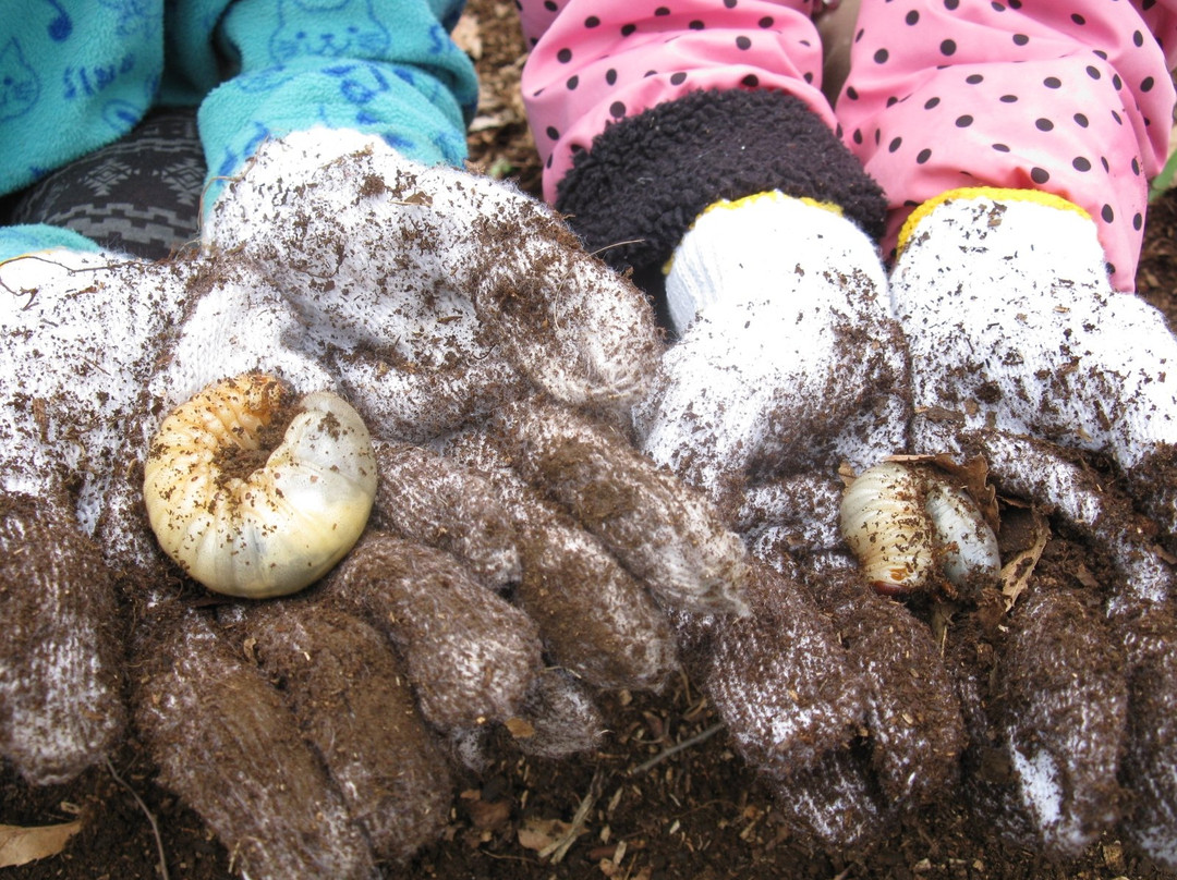 Hokutoshi Oomurasaki Center-北斗市必去景点
