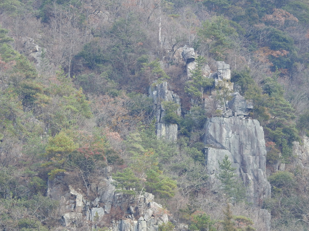 Mount Saeki Tenjin景点图片