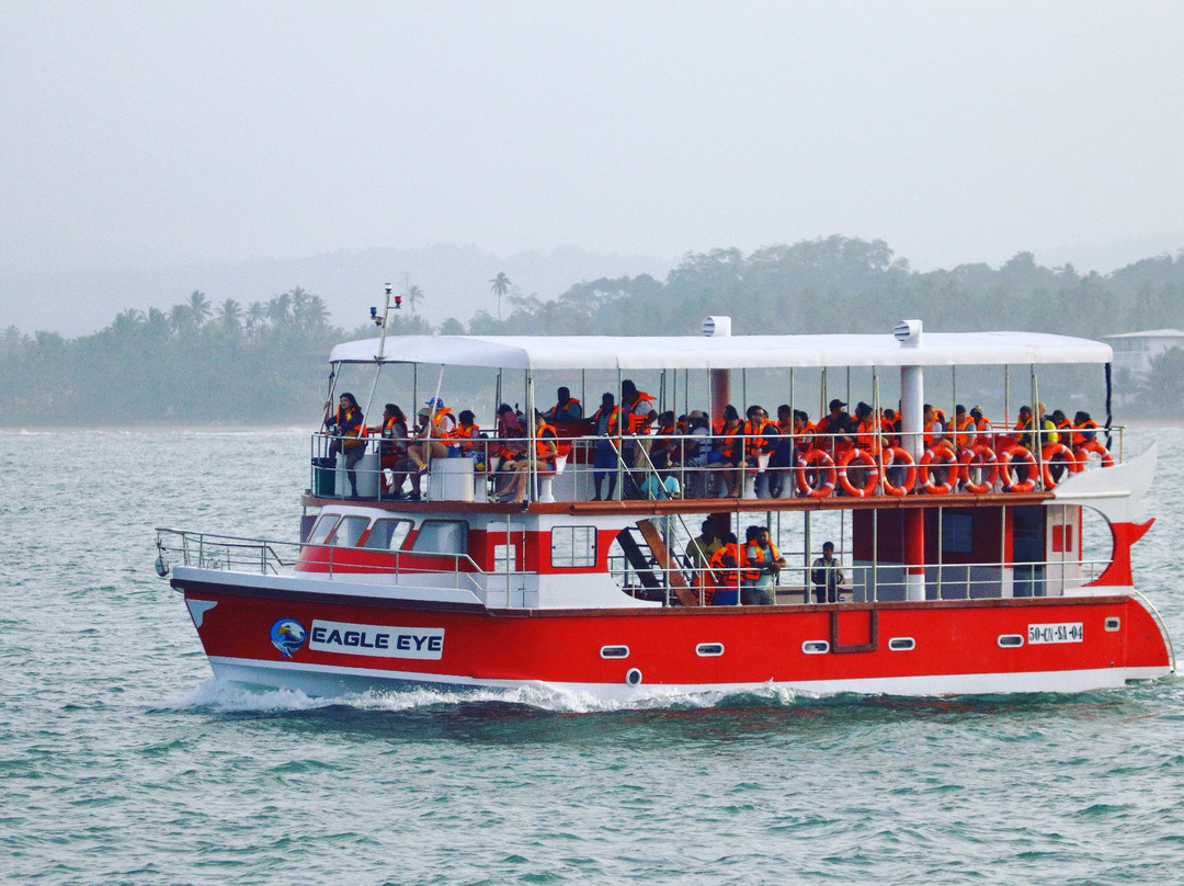 Eagle Eye Whale Watching-美蕊沙必去景点
