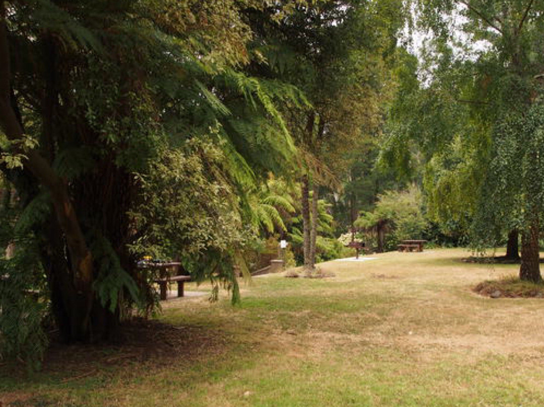 Doongalla Homestead Picnic Ground景点图片