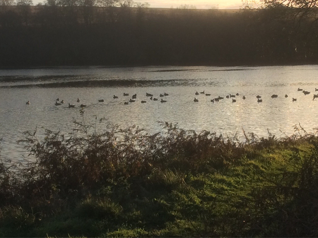 Fontburn Reservoir景点图片