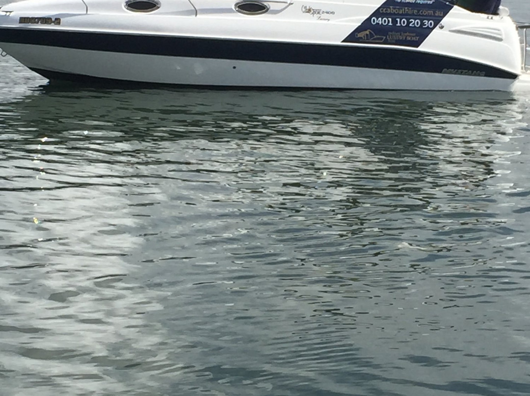 Sydney Harbour Luxury Boat HIre景点图片