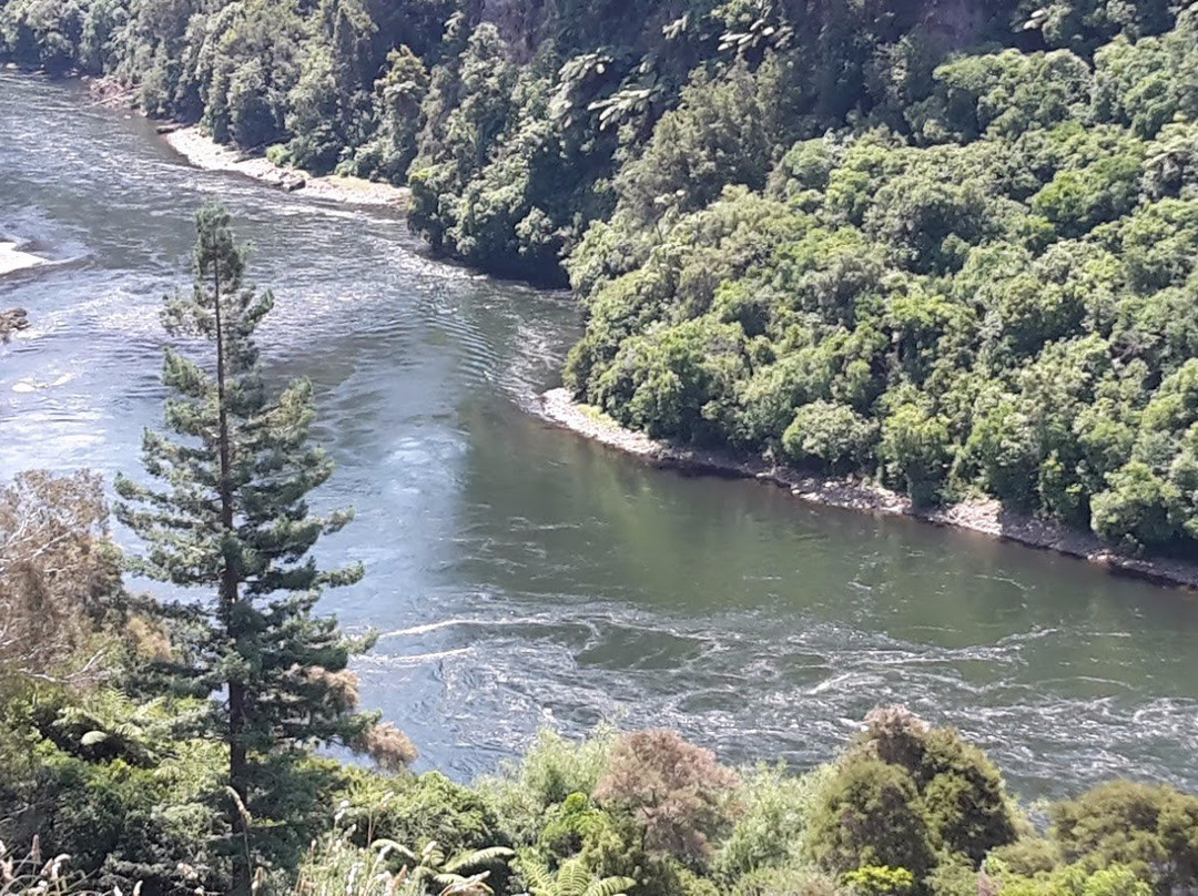 Waikato River Trails景点图片
