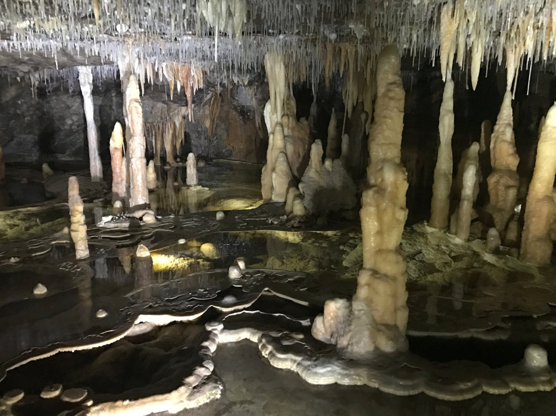 Lakes Mini Bus Charter & Tours-莱克斯恩特伦斯必去景点