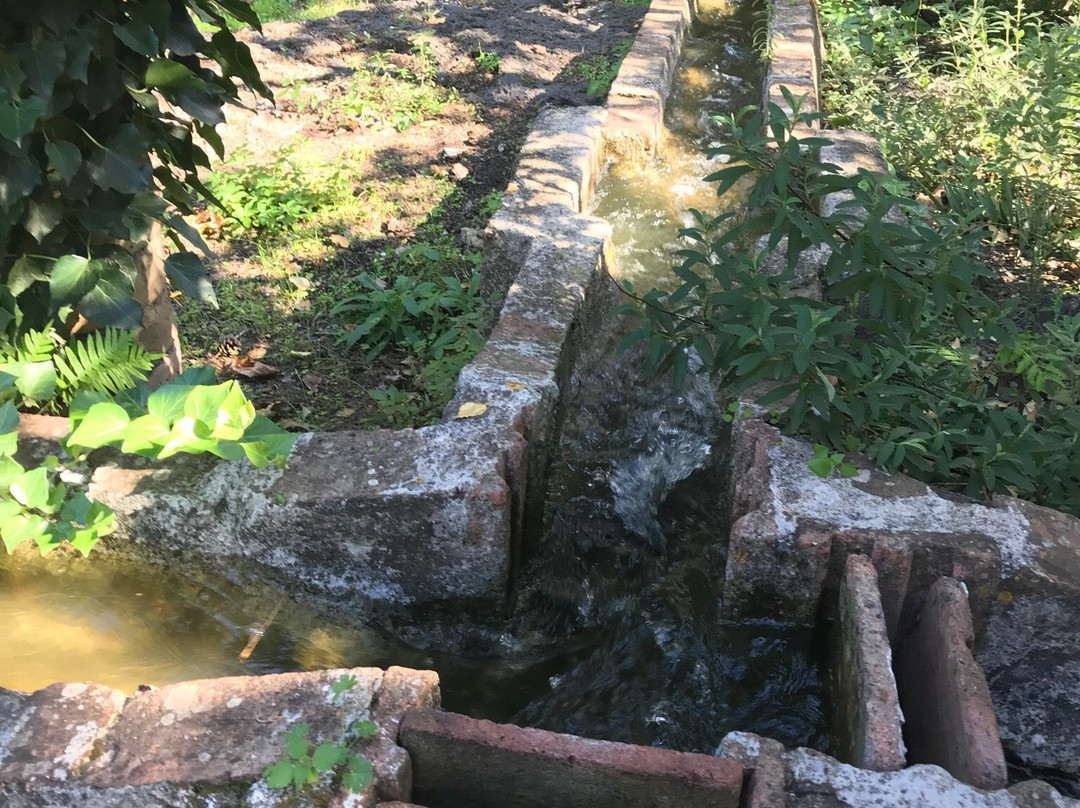 Giardino di Villa Trinita景点图片