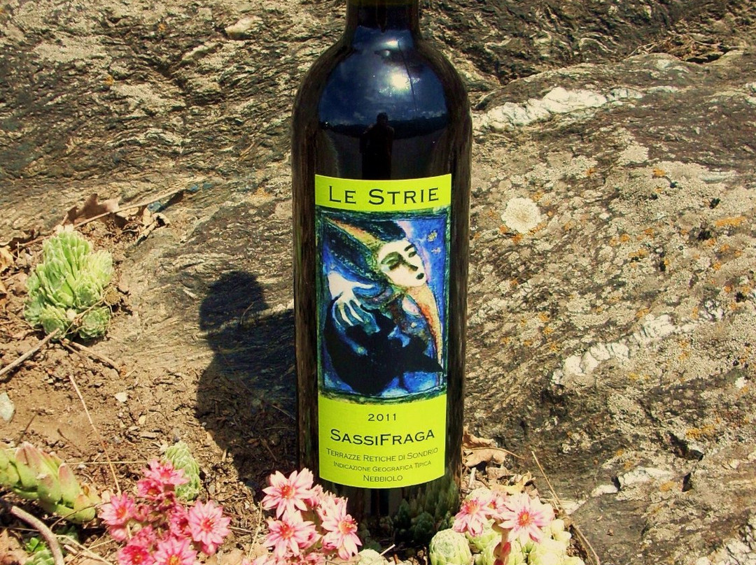 Azienda Agricola Le Strie景点图片