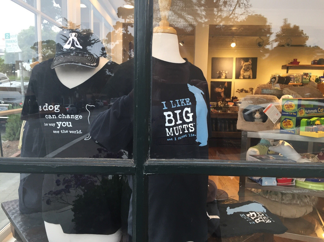 Diggidy Dog-卡梅尔必去景点