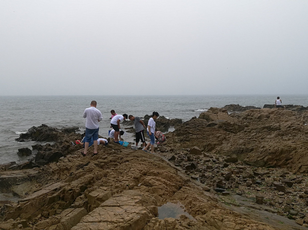 日照刘家湾赶海园-日照市必去景点