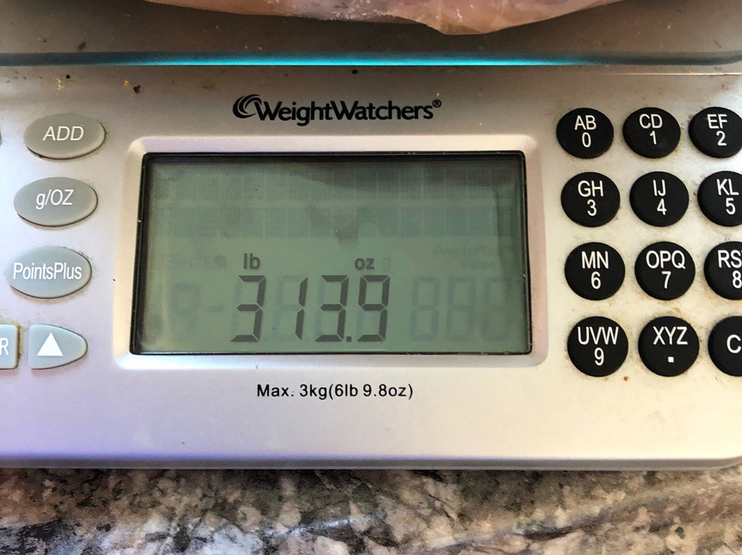 Fisherman's Wharf-克林顿港必去景点