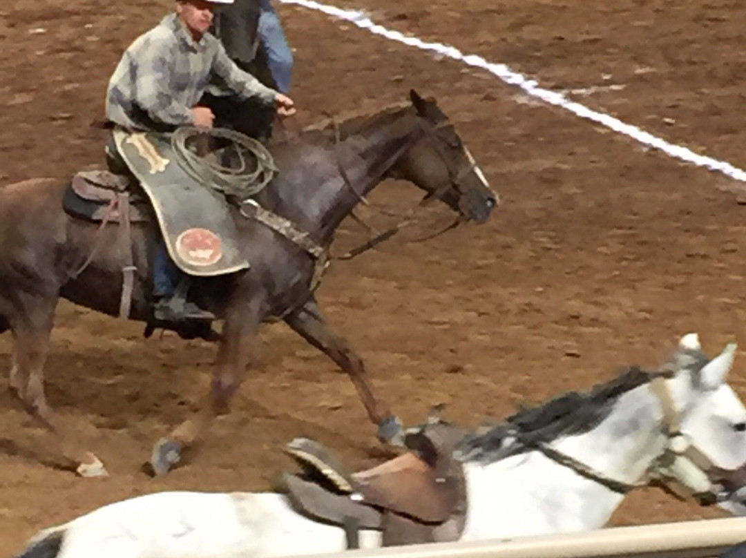 Silver Spurs Rodeo-基西米必去景点