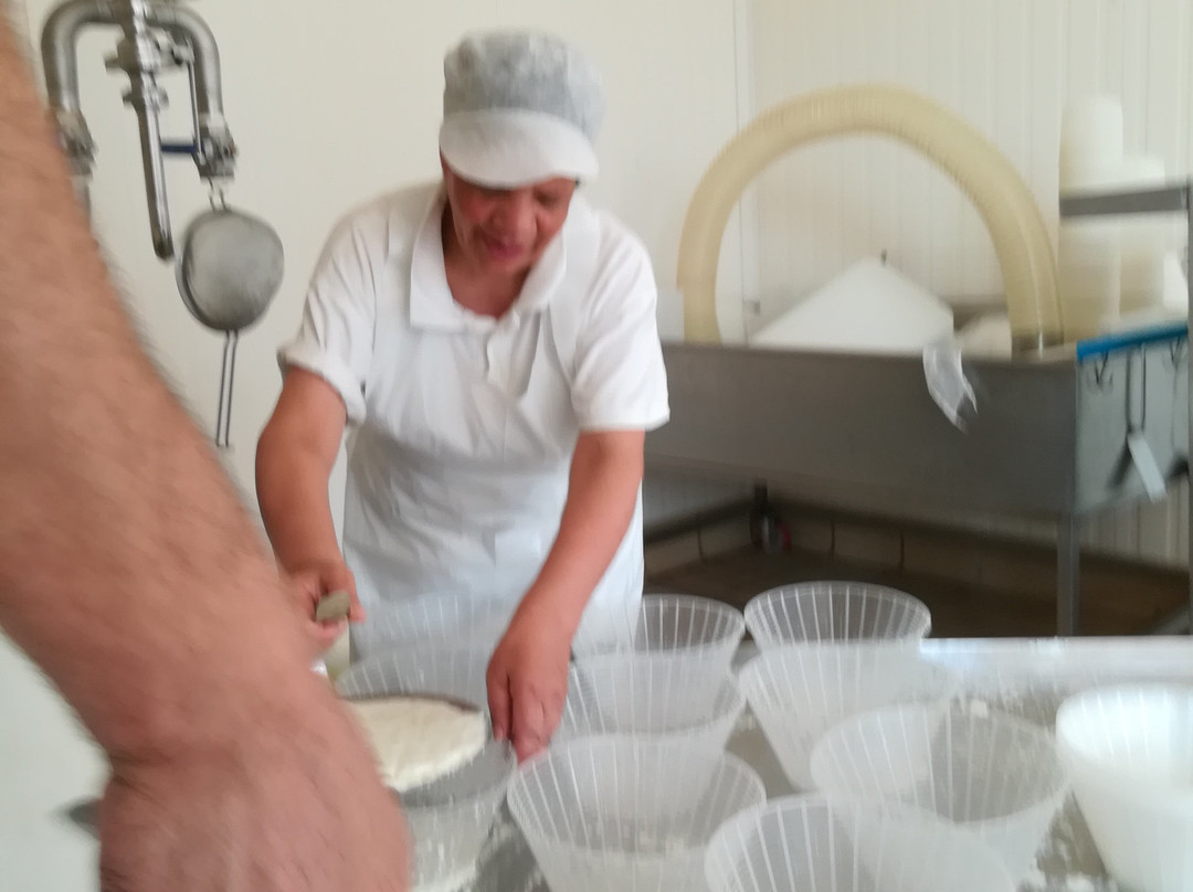 Azienda Agricola Caseificio Sant'Anna dei Fratelli Sanna-蒙特罗尼-达尔比亚必去景点