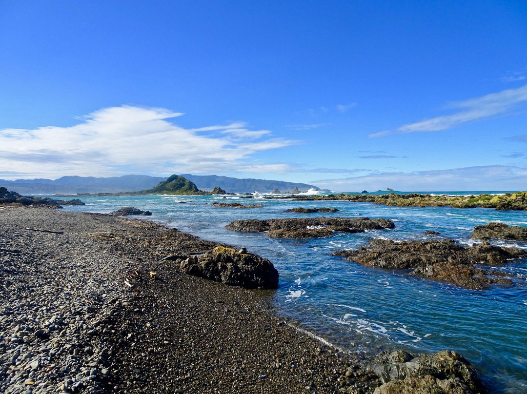 Southern Walkway-惠灵顿必去景点