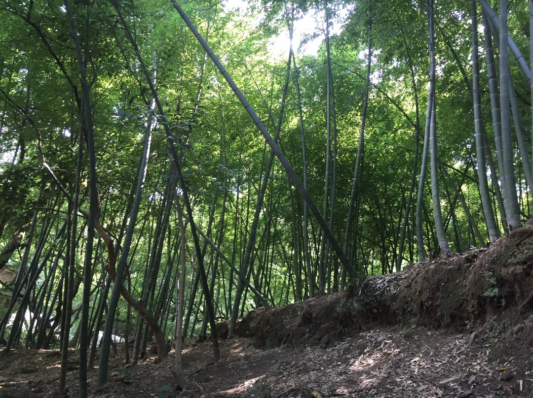 慈溪峙山公园-慈溪市必去景点
