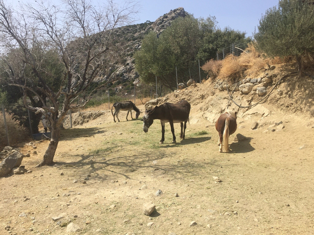 Anatoli旅游攻略图片