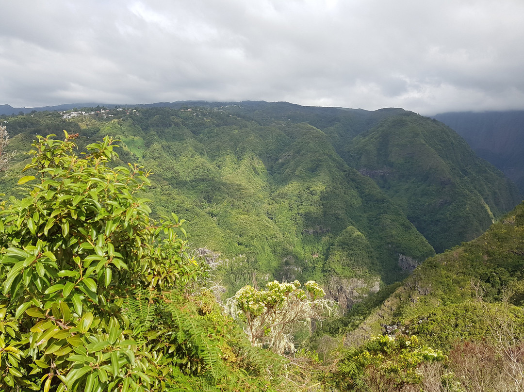 留尼旺岛旅游攻略图片