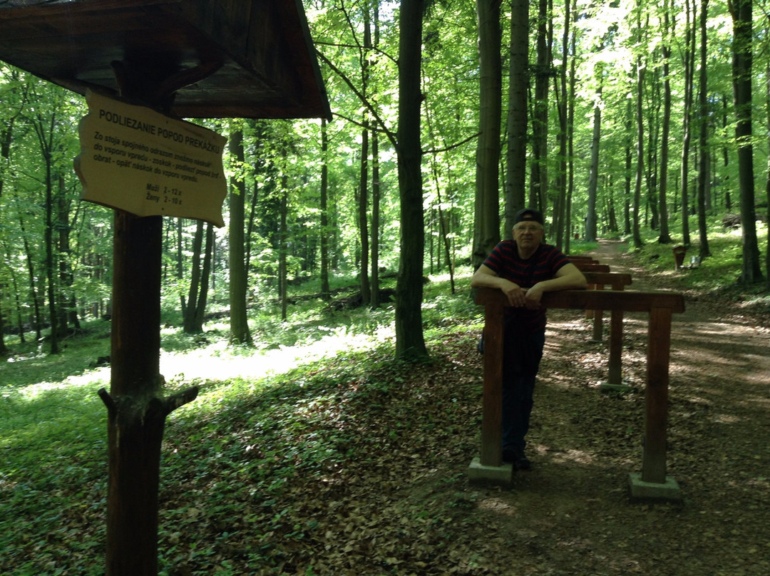 Kyslikova cesta - Oxygen Trail